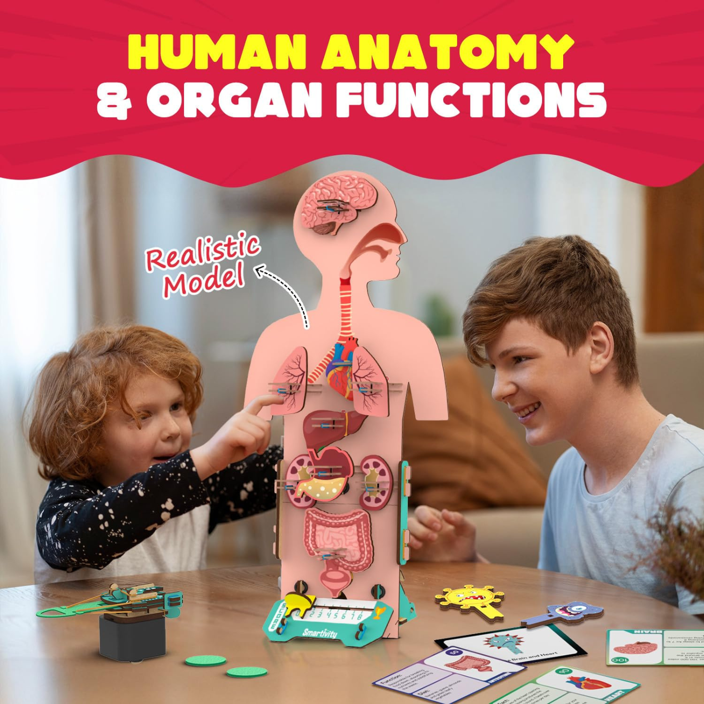 Smartivity Human Body Toy for Kids 6-12 Years